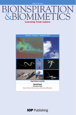 IOP cover article